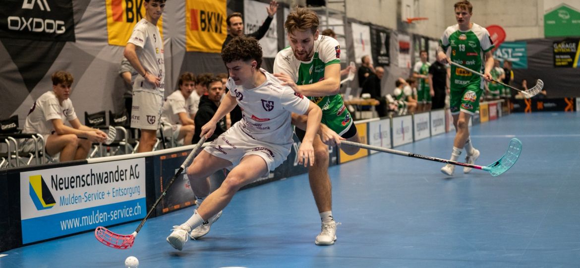 55058977800_b9ebe66e62_k (1)